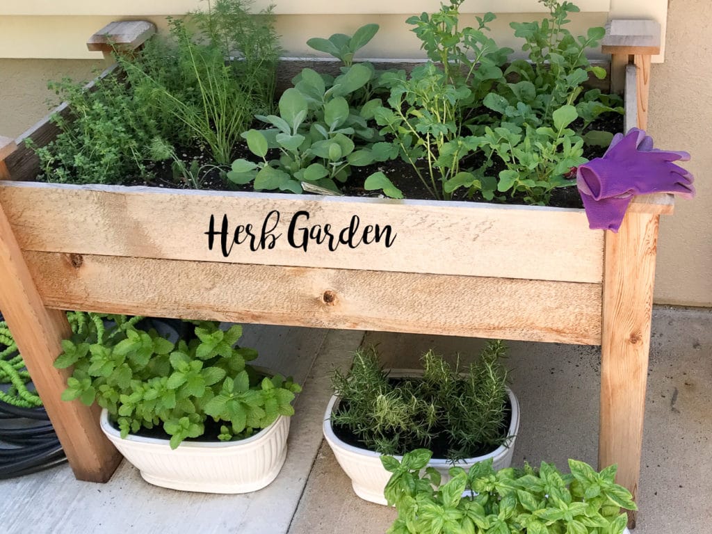 An elevated wood planter filled with an herb garden and 3 white pots of herbs beneath