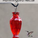 A hummingbird hovering near a red feeder