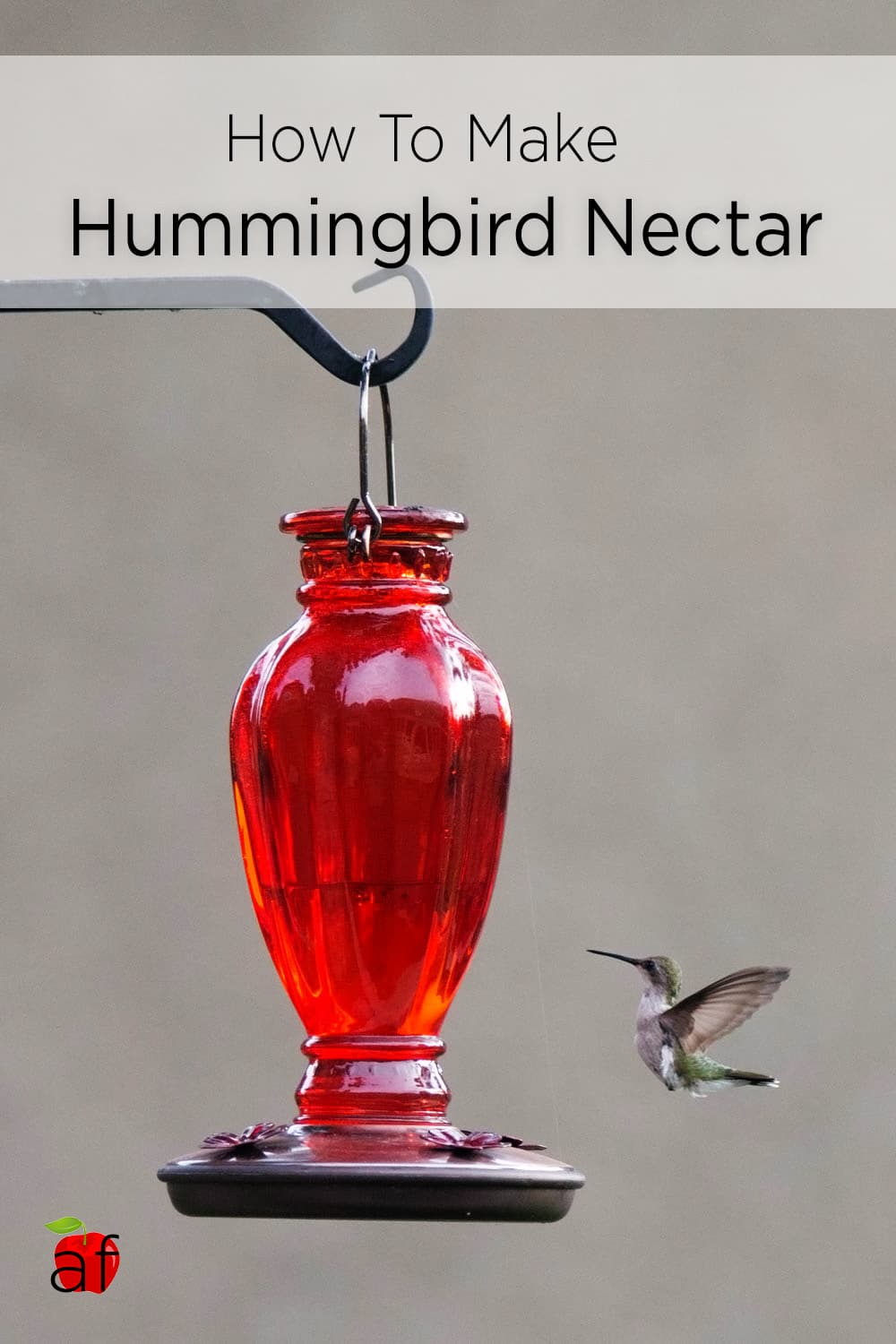 Hummingbird Nectar - Artzy Foodie