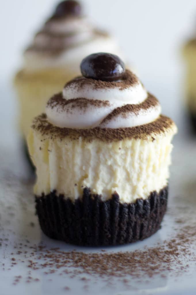 An up close view of a cheesecake cupcake topped with white frosting, cocoa powder, and an espresso bean