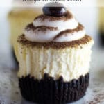Up close view of a cheesecake cupcake topped with white frosting, cocoa powder, and an espresso bean