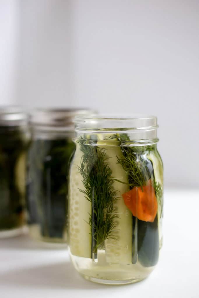 Dill dyeing in a jar