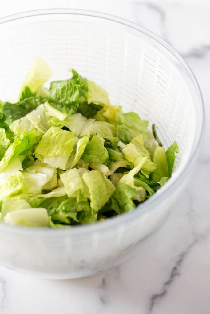 Cut up romaine lettuce in a salad spinner