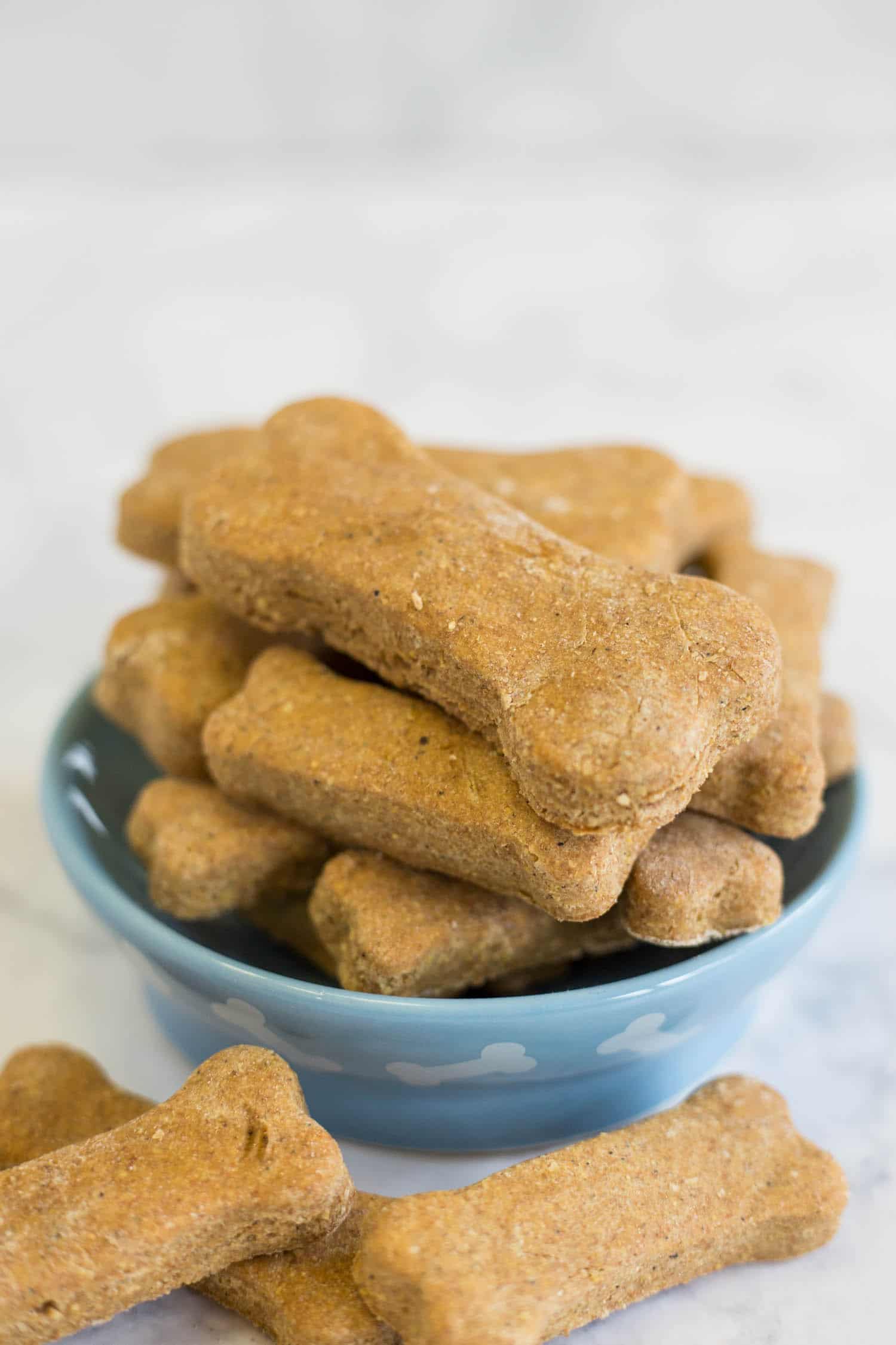 Bowl of dog biscuits