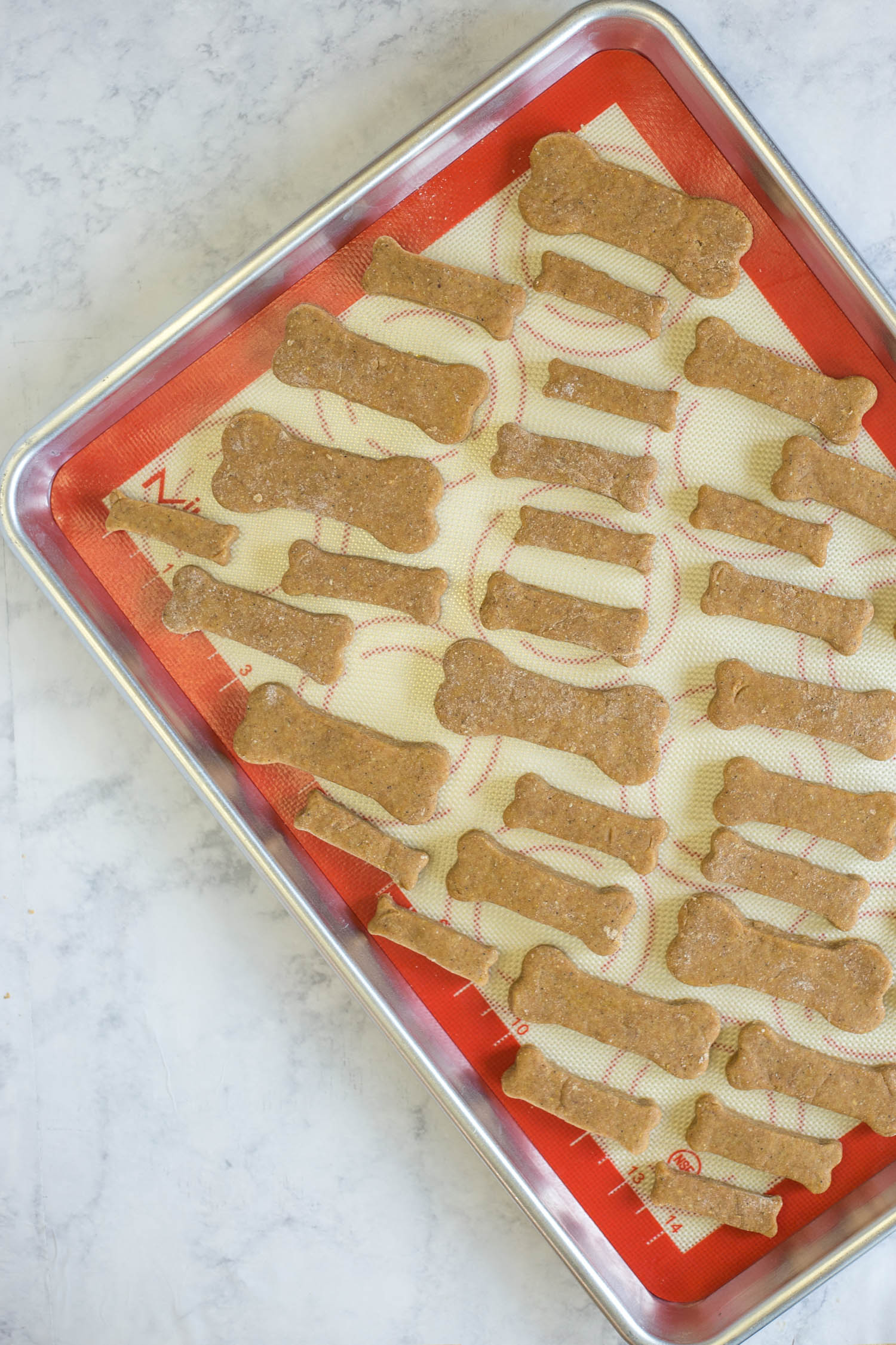 Baking sheet with dog biscuits