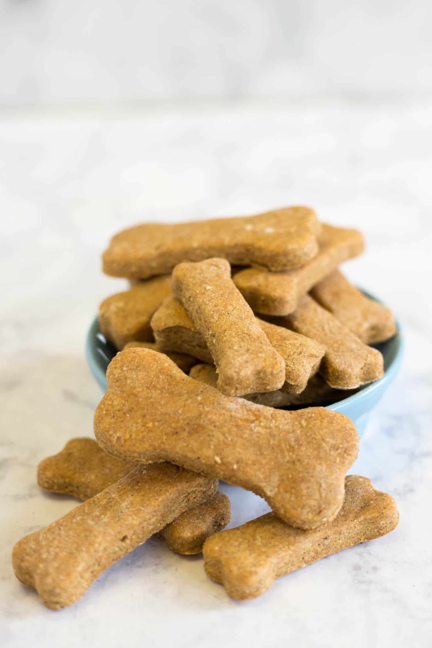 Bowl of homemade dog biscuits