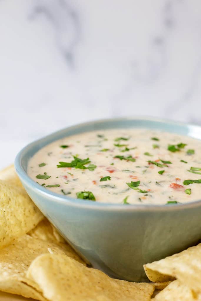 A light blue bowl of white queso with tomatoes and chopped cilantro surrounded by tortilla chips