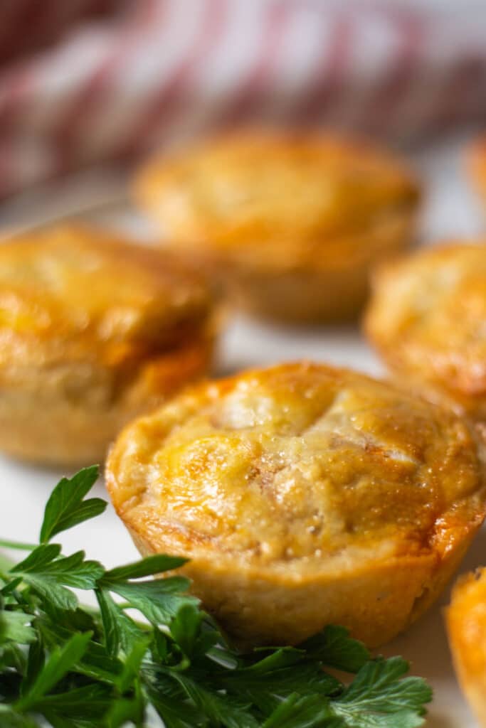Close up view of baked Australian meat pie with parsley garnish